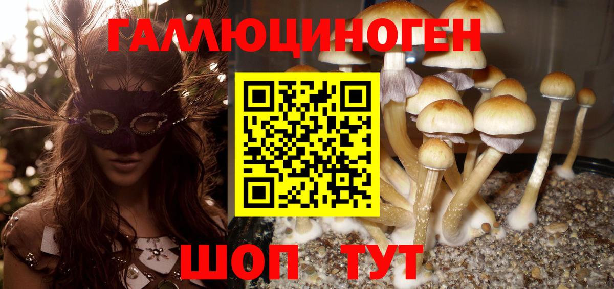 Кстово  Псилоцибиновые грибы ЛСД  Вход с VPN  Псилоцибиновые грибы MAGIC MUSHROOMS 